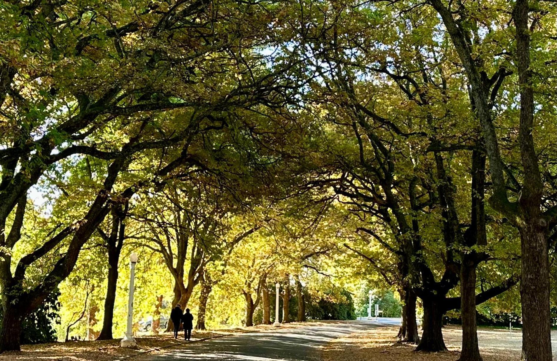 The Grand Oaks Resort Beechworth Exterior foto